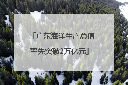 广东海洋生产总值率先突破2万亿元