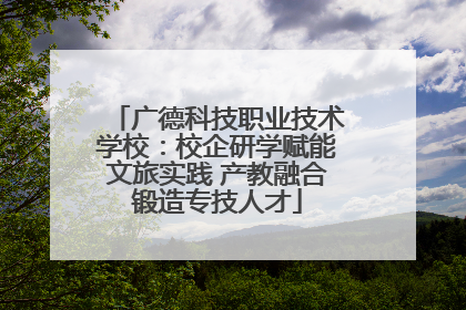 广德科技职业技术学校：校企研学赋能文旅实践 产教融合锻造专技人才