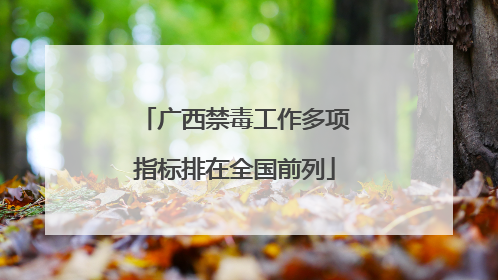 广西禁毒工作多项指标排在全国前列