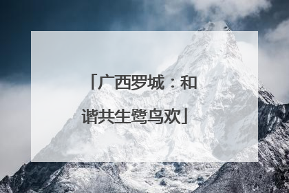 广西罗城：和谐共生鹭鸟欢