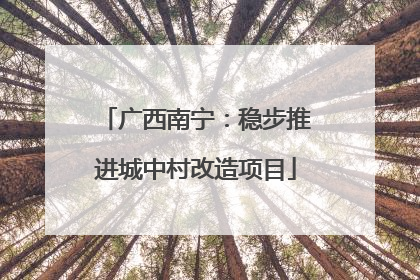 广西南宁：稳步推进城中村改造项目