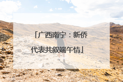 广西南宁：新侨代表共叙端午情