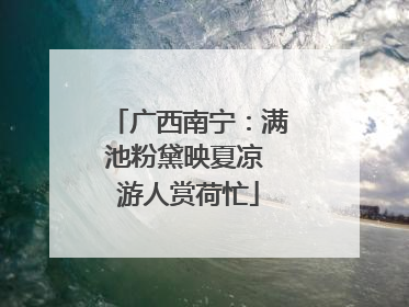 广西南宁：满池粉黛映夏凉 游人赏荷忙