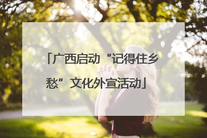 广西启动“记得住乡愁”文化外宣活动