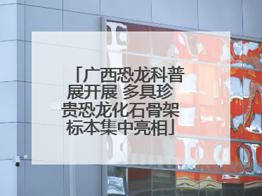 广西恐龙科普展开展 多具珍贵恐龙化石骨架标本集中亮相