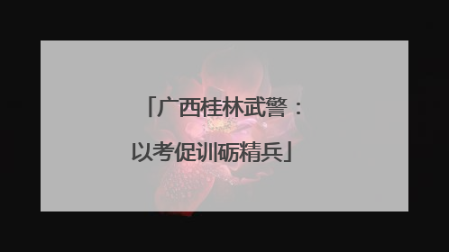 广西桂林武警：以考促训砺精兵