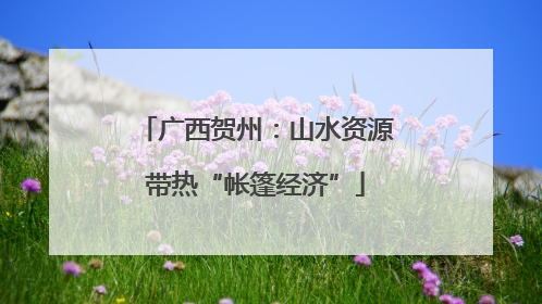 广西贺州：山水资源带热“帐篷经济”