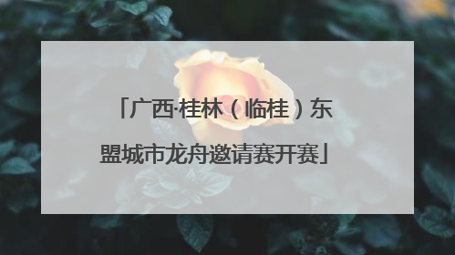 广西·桂林（临桂）东盟城市龙舟邀请赛开赛