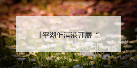平湖乍浦港开展“潮涌东方·港城新韵”2025年浙江美术名家采风活动