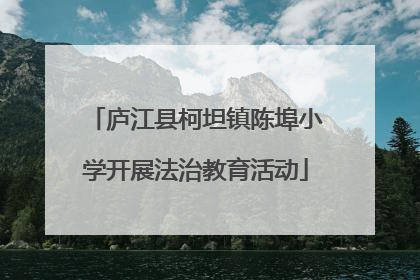 庐江县柯坦镇陈埠小学开展法治教育活动