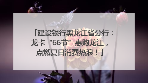 建设银行黑龙江省分行：龙卡“66节”惠购龙江，点燃夏日消费热浪！
