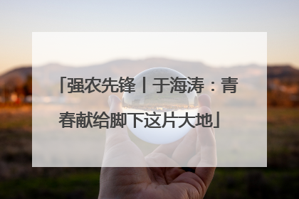 强农先锋丨于海涛：青春献给脚下这片大地