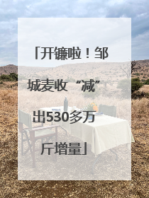 开镰啦！邹城麦收“减”出530多万斤增量