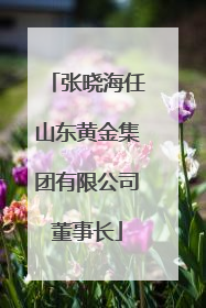 张晓海任山东黄金集团有限公司董事长