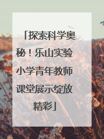探索科学奥秘！乐山实验小学青年教师课堂展示绽放精彩