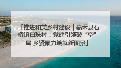 推进和美乡村建设｜嘉禾县石桥镇白珠村：党建引领破“空”局 乡贤聚力绘就新图景