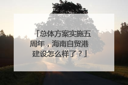 总体方案实施五周年，海南自贸港建设怎么样了？