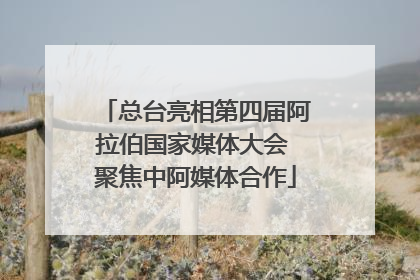 总台亮相第四届阿拉伯国家媒体大会 聚焦中阿媒体合作