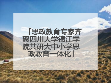 思政教育专家齐聚四川大学锦江学院共研大中小学思政教育一体化