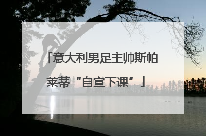 意大利男足主帅斯帕莱蒂“自宣下课”