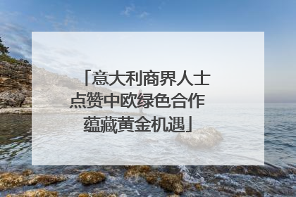 意大利商界人士点赞中欧绿色合作蕴藏黄金机遇