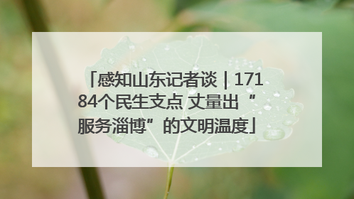 感知山东记者谈｜17184个民生支点 丈量出“服务淄博”的文明温度