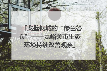 戈壁钢城的“绿色答卷”——嘉峪关市生态环境持续改善观察