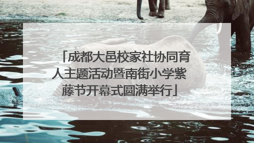 成都大邑校家社协同育人主题活动暨南街小学紫藤节开幕式圆满举行