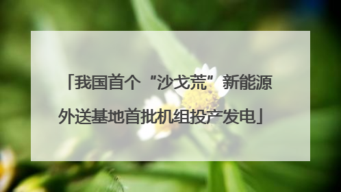 我国首个“沙戈荒”新能源外送基地首批机组投产发电