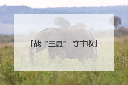 战“三夏” 夺丰收