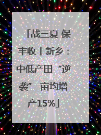 战三夏 保丰收丨新乡：中低产田“逆袭” 亩均增产15%