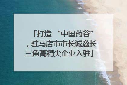 打造 “中国药谷”，驻马店市市长诚邀长三角高精尖企业入驻