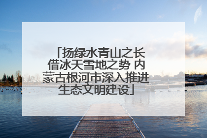 扬绿水青山之长 借冰天雪地之势 内蒙古根河市深入推进生态文明建设
