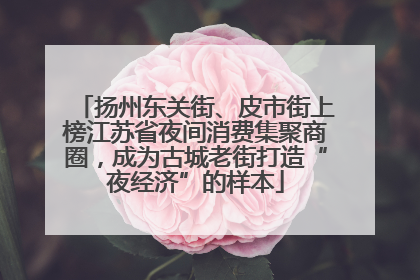 扬州东关街、皮市街上榜江苏省夜间消费集聚商圈，成为古城老街打造“夜经济”的样本