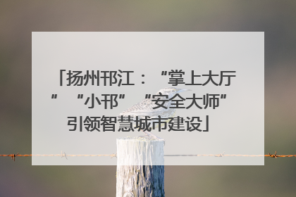 扬州邗江：“掌上大厅”“小邗”“安全大师”引领智慧城市建设