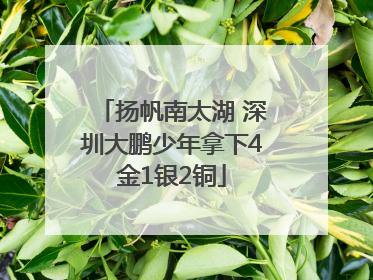 扬帆南太湖 深圳大鹏少年拿下4金1银2铜