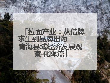 拉面产业：从借牌求生到品牌出海——青海县域经济发展观察·化隆篇