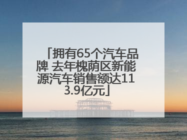 拥有65个汽车品牌 去年槐荫区新能源汽车销售额达113.9亿元