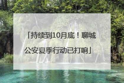 持续到10月底！聊城公安夏季行动已打响