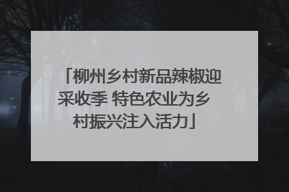 柳州乡村新品辣椒迎采收季 特色农业为乡村振兴注入活力