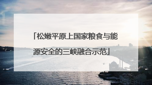 松嫩平原上国家粮食与能源安全的三峡融合示范