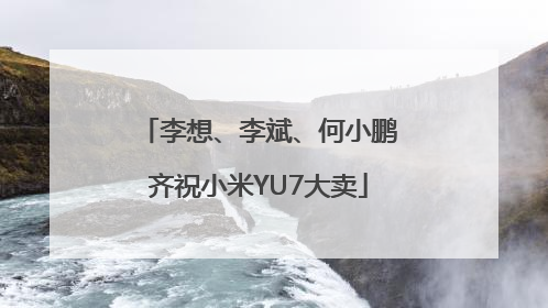李想、李斌、何小鹏齐祝小米YU7大卖