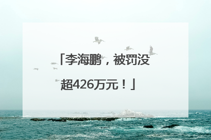 李海鹏，被罚没超426万元！