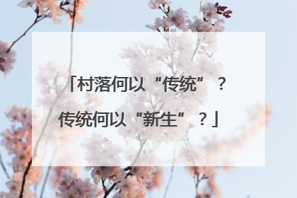 村落何以“传统”？传统何以“新生”？
