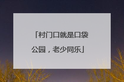 村门口就是口袋公园，老少同乐