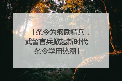 条令为纲励精兵，武警官兵掀起新时代条令学用热潮