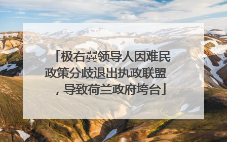 极右翼领导人因难民政策分歧退出执政联盟，导致荷兰政府垮台