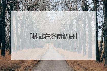 林武在济南调研