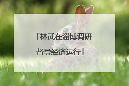 林武在淄博调研督导经济运行