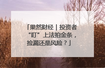 果然财经|投资者“盯”上法拍金条,捡漏还是风险?